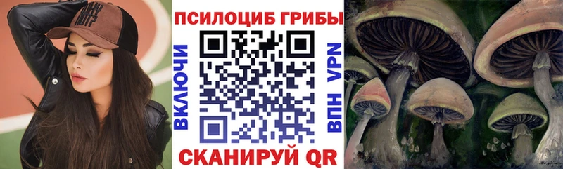 Купить где  Полтавская  Псилоцибиновые грибы GOLDEN TEACHER 